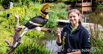 Roze kaketoe en zelfs een pinguïn: Avifauna-verzorger Selena vertelt waarom vogels steeds ‘ontsnappen’