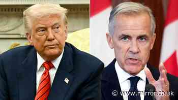 Canada threatens to switch off power to US as Trump's tariff row spirals to new low