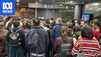 Sydney train delays continue into evening peak period after morning chaos