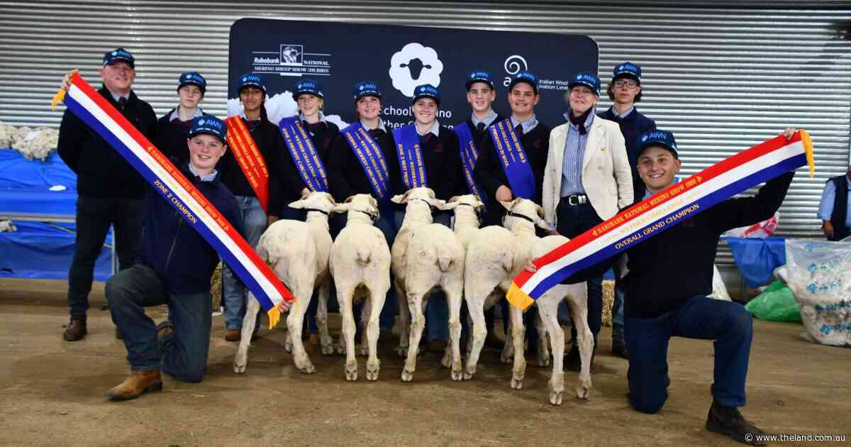 Merino industry in good hands as zealous sheep students claim wether comp win