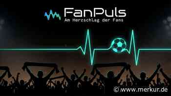 FanPuls: Diese Fragen beschäftigen die Fans vor dem Bundesliga-Start