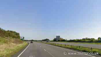 Police make arrest as vehicle drives wrong way on A55 and person 'knocked off bike'