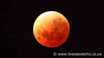 Do you need to wear special glasses for lunar eclipse happening this week?