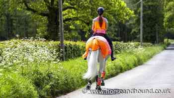 Should small country roads have a 20mph speed limit? New guidance for rural routes