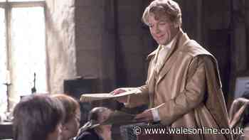 Harry Potter TV series suffers cast shake-up as Gilderoy Lockhart star departs