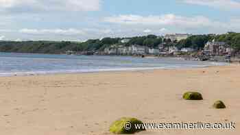 Not Whitby and Scarborough — pretty seaside town with 'best beach in Yorkshire'