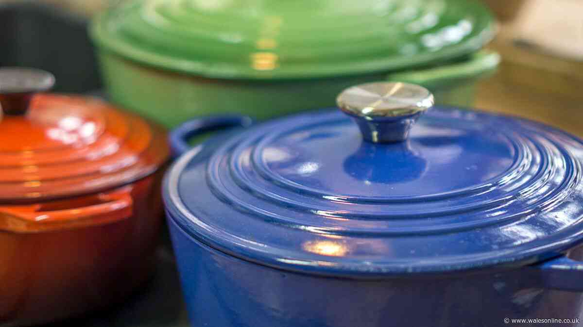 'I found Le Creuset pot for £11 and won the lottery when I took it home with me'
