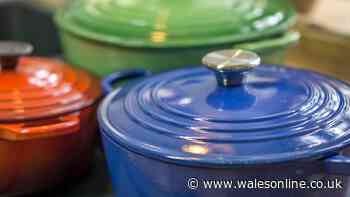 'I found Le Creuset pot for £11 and won the lottery when I took it home with me'