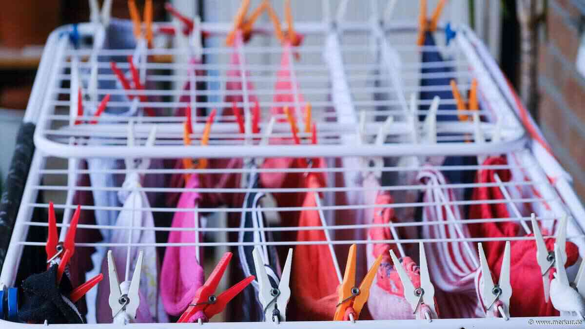 Japan-Trick als Wäsche-Turbo: So trocknet Kleidung schneller