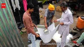 300 kg paneer seized and destroyed in Noida just days before Raksha Bandhan