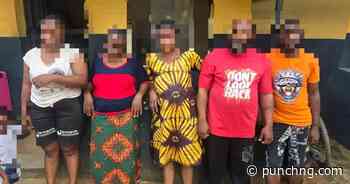 Police bust baby factory in Ogun, rescue pregnant women, children