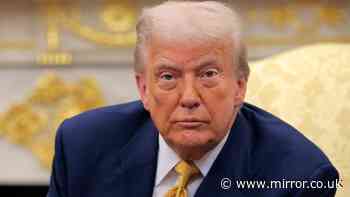'I've seen Donald Trump without make-up – he looks like an open can of Spam'