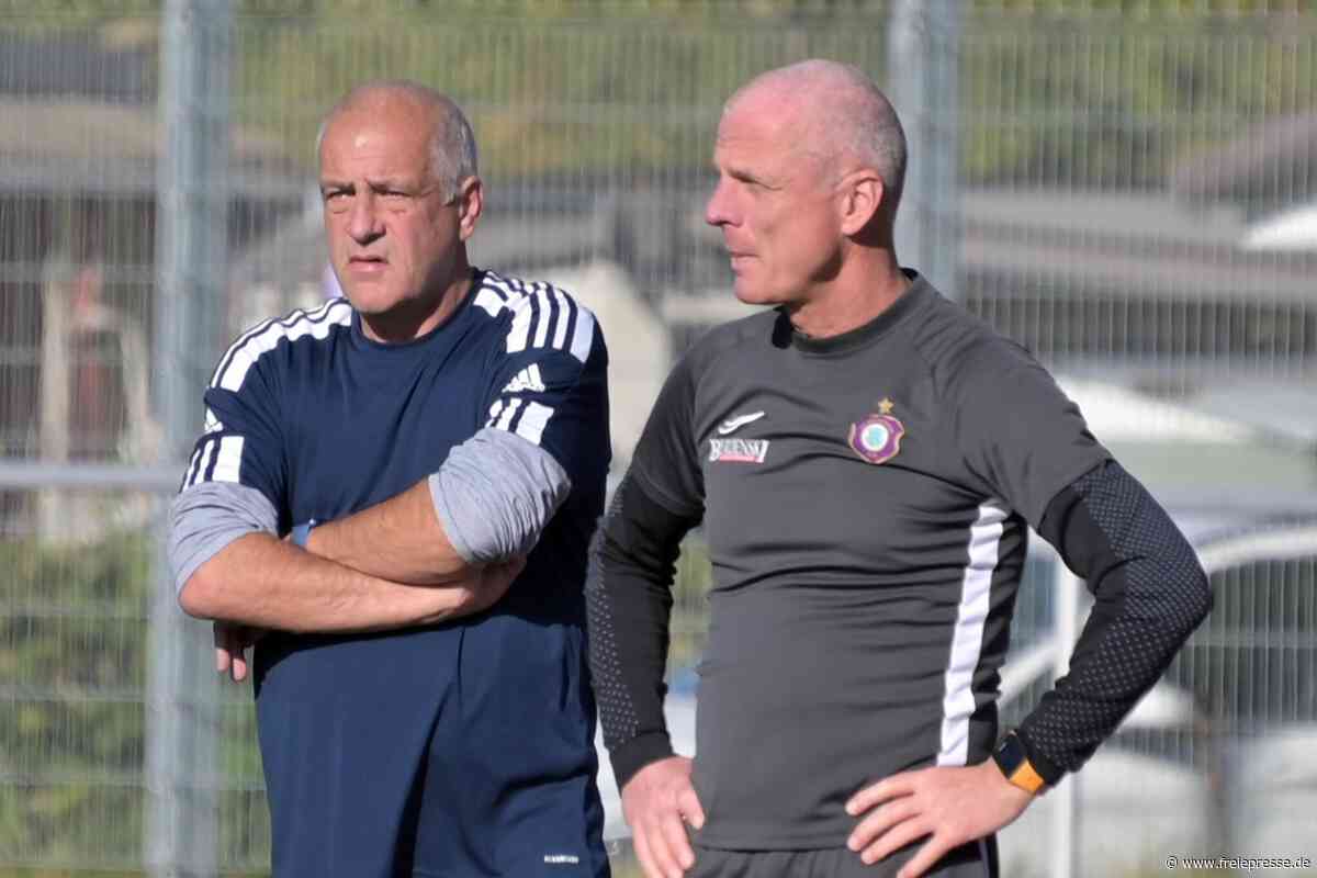 Erzgebirge Aue: Veilchen machen es im Pokal spannend
