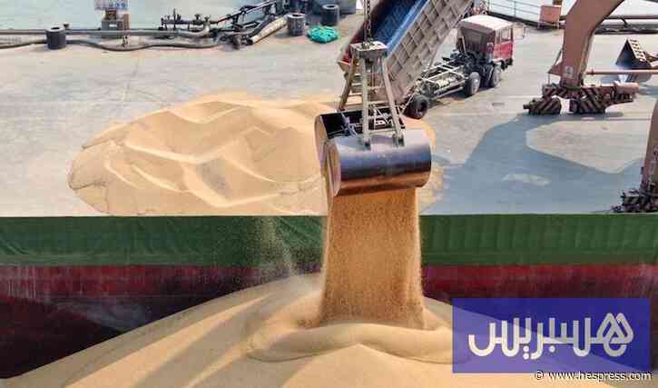 إفراج المغرب عن دعم استيراد القمح اللين يعد الفاعلين الأوروبيين بانتعاشة