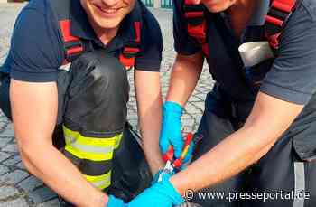 FW-M: Taube aus auswegloser Zwangslage gerettet (Sendling-Westpark)