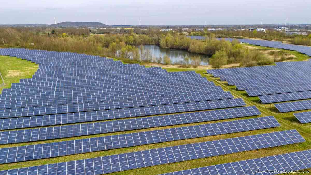 Solarparks können Vogelvielfalt verringern – besonders dort, wo Acker- und Grasland weichen muss