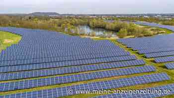 Solarparks können Vogelvielfalt verringern – besonders dort, wo Acker- und Grasland weichen muss