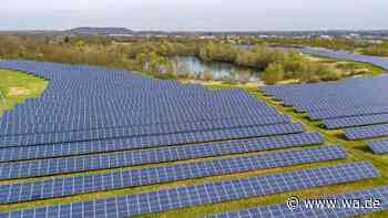 Solarparks können Vogelvielfalt verringern – besonders dort, wo Acker- und Grasland weichen muss