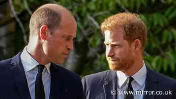 Prince William 'felt utterly abandoned' by Prince Harry before UK return, expert claims