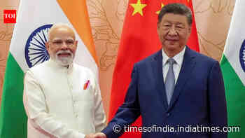China's Xi Jinping to visit India with 400-member delegation for Brics: Report