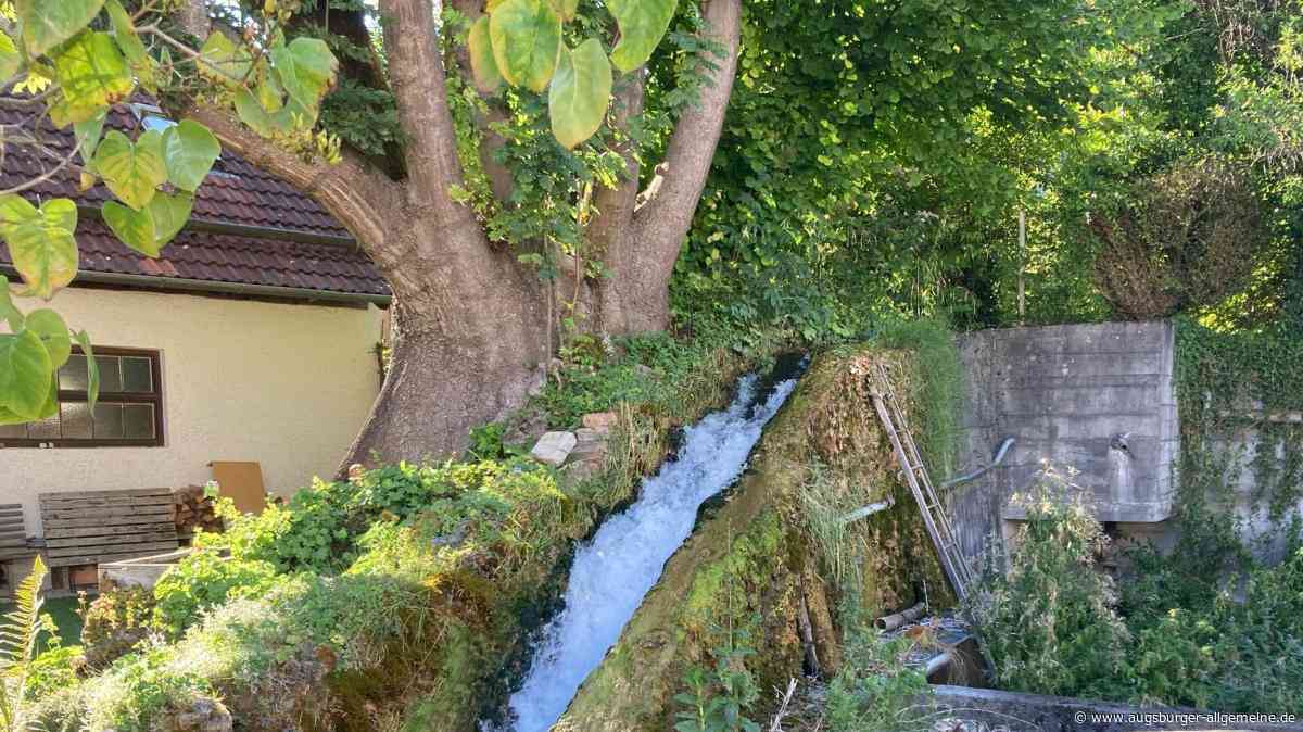 Wo das Wasser tost: Quellen und Bäche und ihre Bedeutung für Dießen