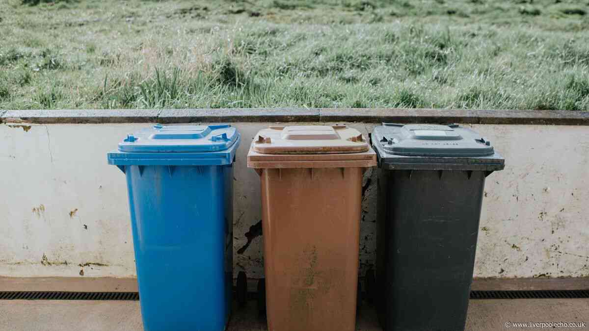 Households could face fine for breaking 4 bin collection rules