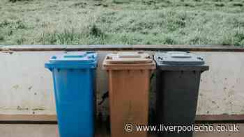 Households could face fine for breaking 4 bin collection rules