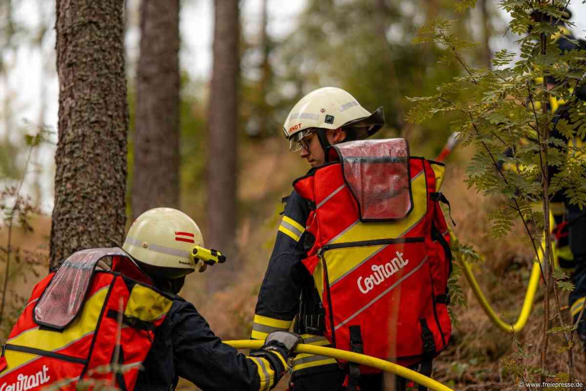 Waldbrand im Vogtland: Totholz wirkt als Brandbeschleuniger
