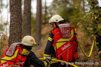 Waldbrand im Vogtland: Totholz wirkt als Brandbeschleuniger