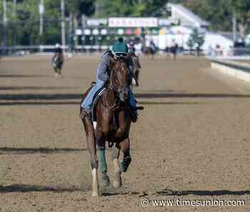 Baby Vino hopes to give trainer Lindsay Schultz rare Haskell-Travers double