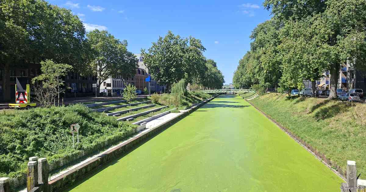 Hoe kan dat nou? Dit kanaal is plotseling felgroen: ‘Dit valt niet te verwijderen’
