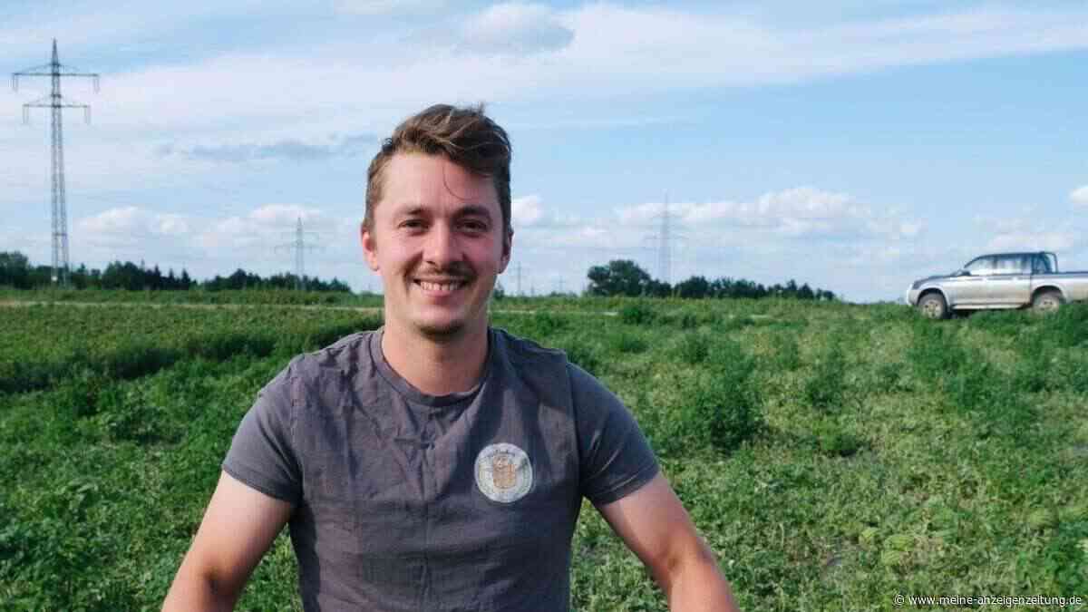 Landwirt erntet 5000 Wassermelonen in Niederding