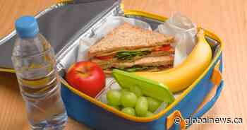 Back-to-school lunches need ‘flexibility’ amid uneven food prices: report