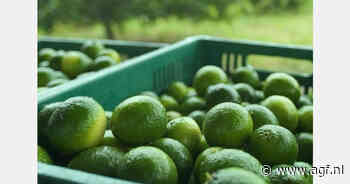 Tijdelijke prijsstijging limes verwacht na aardbeving Colombia