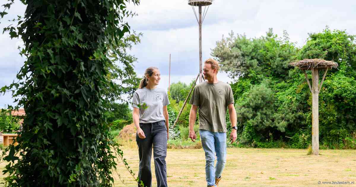 Komkommerman en aardbeienvrouw leven hun droom