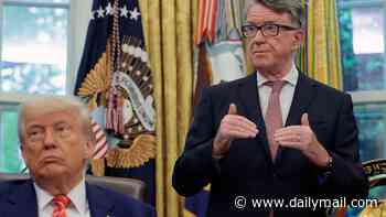 Peter Mandelson 'was targeted by hoaxer claiming to be key Donald Trump aide' before Andy Burnham fell for trick