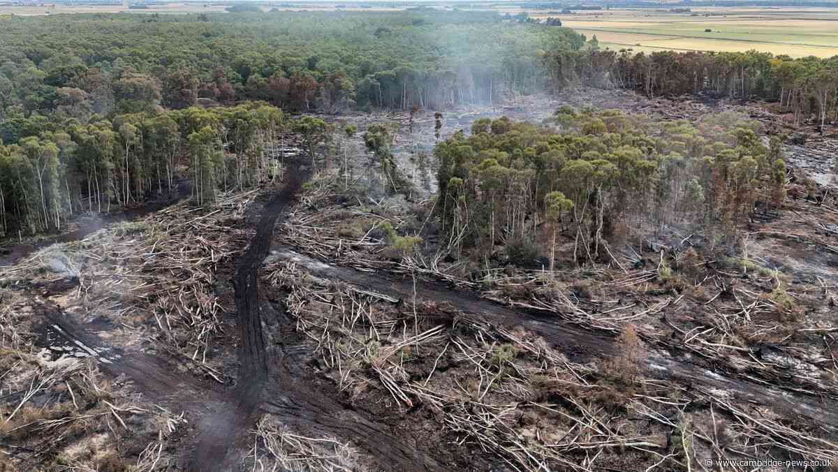 Holme Fen: Fire leaves nature reserve ‘absolutely devastated’ as major incident stood down