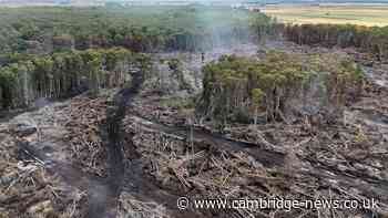 Holme Fen: Fire leaves nature reserve ‘absolutely devastated’ as major incident stood down