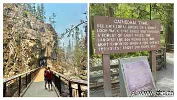 Search for B.C.'s best roadside attraction: Semifinal 1, Othello Tunnels vs. Cathedral Grove