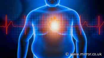 Beer belly or muffin top? Study reveals which type of fat is worse for our health