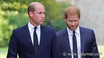 William and Harry should reconcile for the sake of the country - and sooner rather than later: As my own brother taught me, you never know how long you have left: PETER HITCHENS