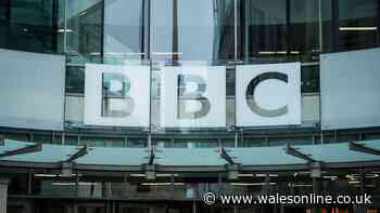 BBC fans say the same thing as first look at new detective drama drops