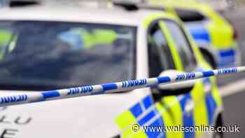 Former police officer accused of raping and strangling woman while on duty