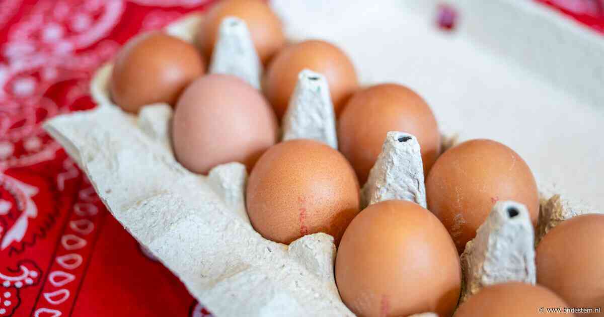Grootste salmonella-uitbraak ooit in België, besmette eieren ook in Nederland verkocht