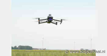 Drone getest voor vroegere opsporing van Phytophthora in biologische aardappelteelt