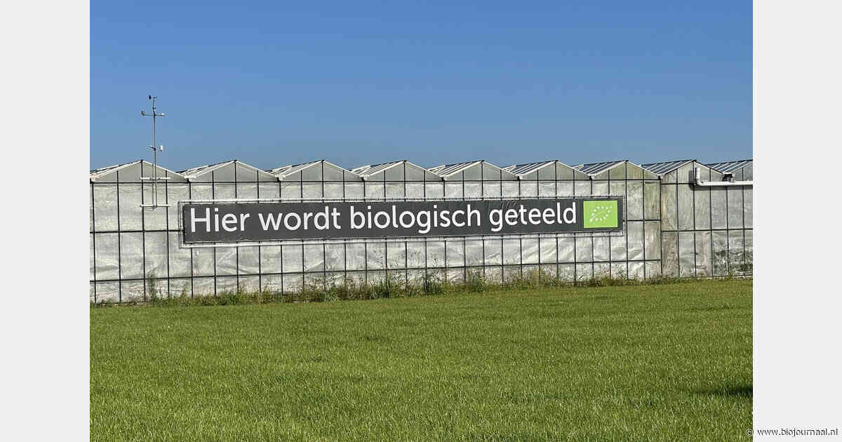Natuurlijk Klein Dongen experimenteert met biologische thee