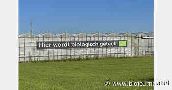 Natuurlijk Klein Dongen experimenteert met biologische thee