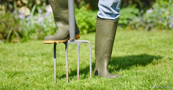 Rain is coming tomorrow after weeks of drought — prepare your garden now