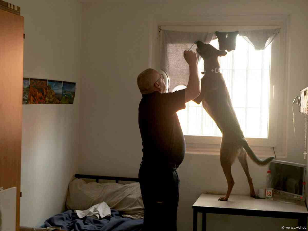 JVA Köln: Spürhunde suchen nach Drogen und Handys