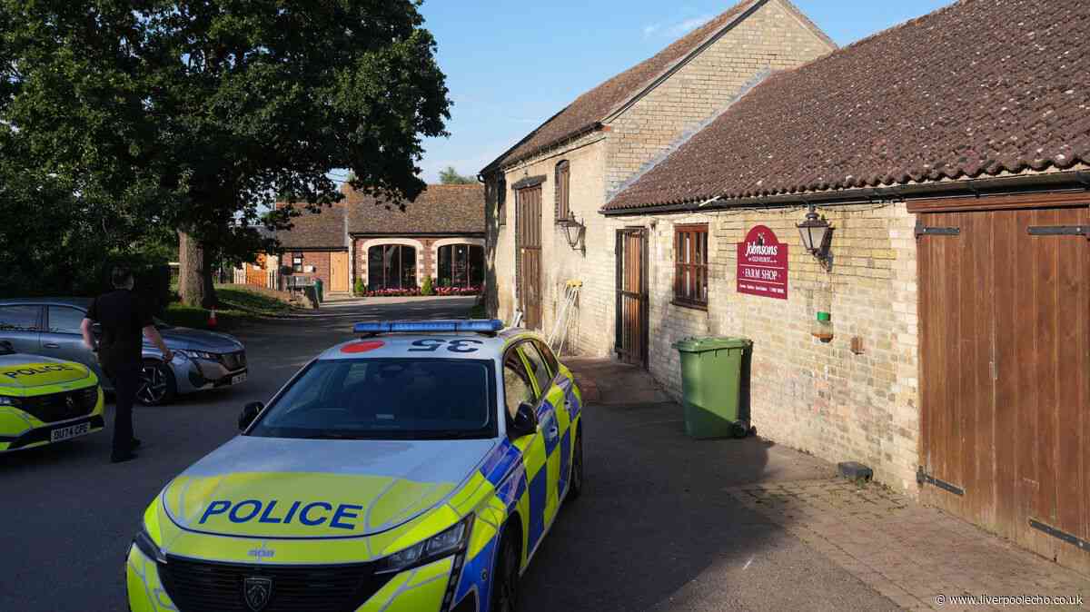 Family issue major update on boy, 3, injured in crocodile enclosure